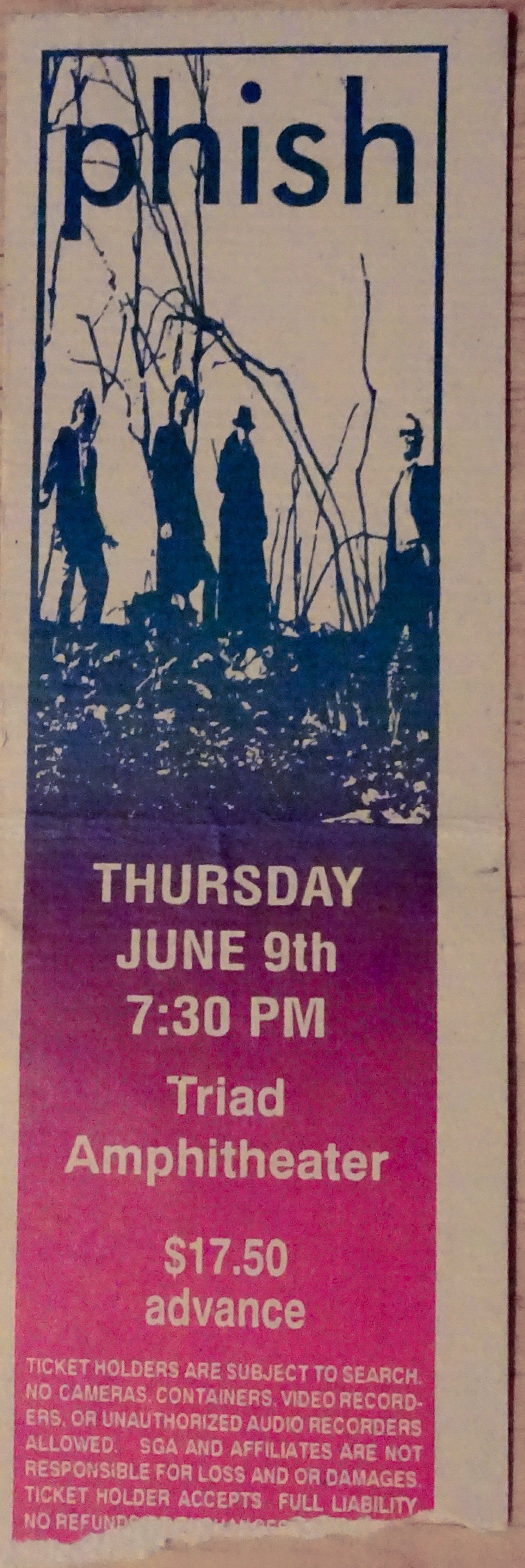 Ticket for 1994-06-09 at Triad Amphitheater